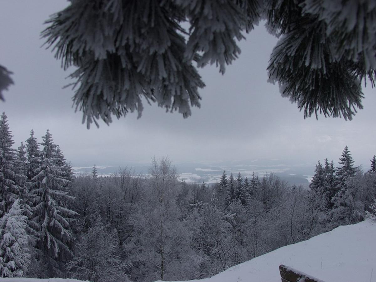 Steiner Wirt Hotel Tiefenbach  Luaran gambar